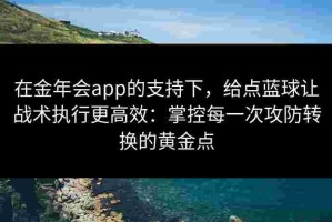 在金年会app的支持下，给点蓝球让战术执行更高效：掌控每一次攻防转换的黄金点