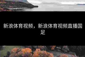 新浪体育视频，新浪体育视频直播国足